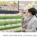 [일본]기업과 지자체의 자국산 쌀 소비를 위한 움직임 증가 이미지