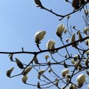 지니스안경 서산예천사거리점 | 서산렌즈안경 지니스안경 서산예천사거리점