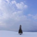 자동차 캠프 | [일본/삿포로] 준페이 웨이팅 없는 삿포로 비에이 투어 “삿포로베이스캠프” 내돈내산 추천 후기