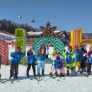 충무 태권도장 이미지