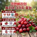 보석가공식품 | 붉은 보석, 크랜베리 효능과 직접 경험한 생생한 후기