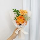 온화꽃집