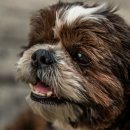 베이지동물병원 이미지