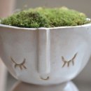 앤빈티지 이미지