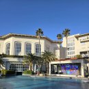 반지모텔 | 제주 중문 제주신라호텔 수영장 이용 후기 (+ 야외선베드 예약, 이용 시간, 복장, 대여물품)