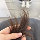 강남 교대역 미용실 라브리헤어 지현디자이너 퍼스널헤어컨설팅 물결펌 후기