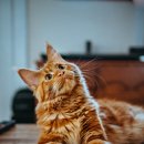 서울장편한내과의원 이미지