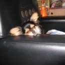 sbs 당구클럽 이미지