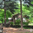 국립유명산자연휴양림 이미지