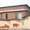 꽃맹글다