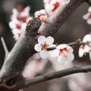 대전중앙병원 이미지