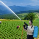 케이올 - 천안시 동남구 순천향3길 43 | 무선농약살포기 케이올 팜케어건, 과연 살 만한가? 농민이 직접 써본 솔직 후기
