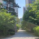 중앙동203 이미지