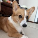 십일월오일 | 7/30~7/31 십일월오일