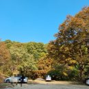 운수리95-10 이미지