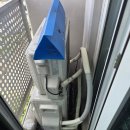 비둘기2길 이미지