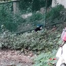 학익체육관 이미지