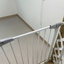 꽃잎펜션 | [경기/가평] 베일리 애견풀빌라 | 애견동반 펜션 추천 | 101호 객실·개별온수풀 솔직 후기