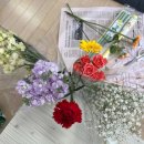 다정꽃할인매장 | [셀프 꽃다발 만들기] 어버이날 카네이션 꽃다발 직접 포장 후기｜세종 다정꽃할인매장, 다이소 꽃포장지