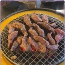 신마포 갈매기 이미지