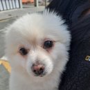 진목2길 이미지