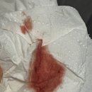 지엠산부인과의원 | [출산 일기] GM제일산부인과 자연주의 출산 후기(2박 3일 입원)