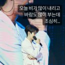 우쭈쭈 내새끼 | To. X (나의 시절 연예인들에게)(1편)