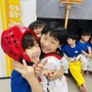 늘봄태권도 이미지