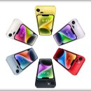 나랑노랑 이미지