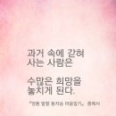 화갤러리 이미지