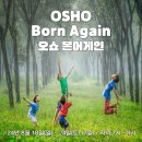 8월 7일간의 오쇼본어게인 명상그룹 테라피(8월18일~24일) 이미지