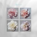 플라워피부과의원 이미지