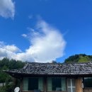 섬진강찔레꽃언덕