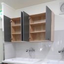 도그어게인 이미지