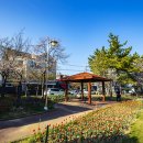 대청(계동)공원 이미지