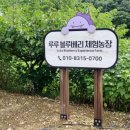 루루농장 이미지