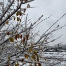 환경산전 | 삼송역 필라테스 위브 리뷰 모음집(산전필라테스,통증완화,재등록후기 등)