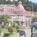 포천 가볼만한곳 허브아일랜드 라벤더축제 아기와 방문후기