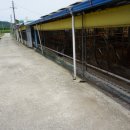 불당14로 이미지