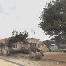 와동1리 이미지