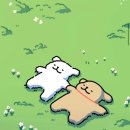 아산우리약국 이미지