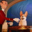 프린스펫 이미지