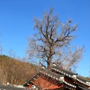 다솜학교 | 세상을 걷는다. (13)