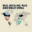 외교 티스토리