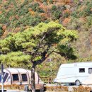 태백 눈꽃 야영장 이미지