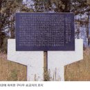 다두 이미지