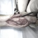 속초삼성동물메디컬센터 이미지