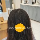 헤어다이아수원인계