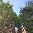 김천유아숲체험원 | 대구근교 아이랑 |경북 아이랑 갈만한 곳 | 숲놀이터 | 야외 놀이터 | 화장실 시설...