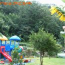 숲속나라어린이집 이미지